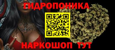ГАЛЛЮЦИНОГЕННЫЕ ГРИБЫ Краснокаменск