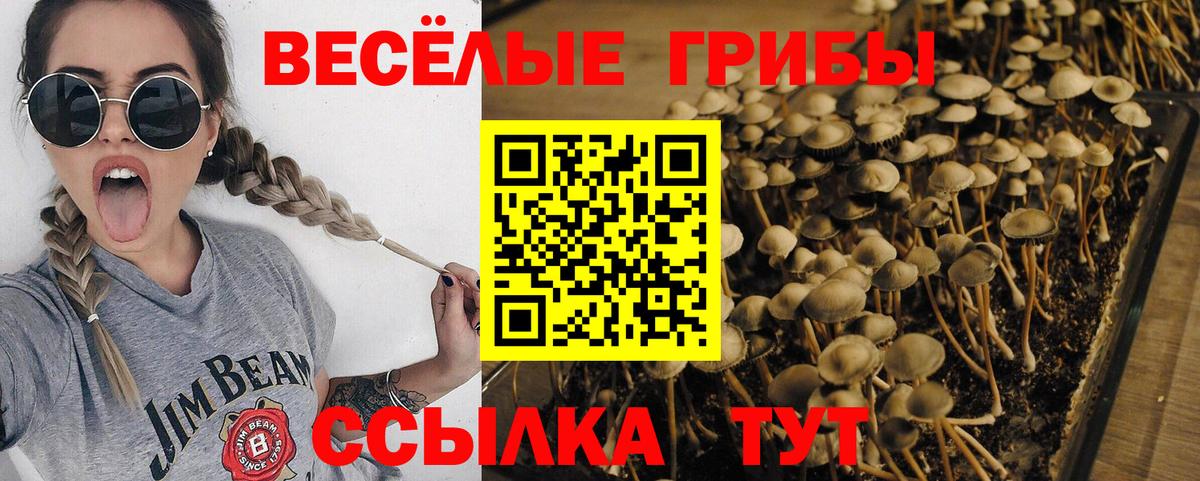 Ипатово  Псилоцибиновые грибы Cubensis  Галлюциногенные грибы мухоморы  Вход с VPN 